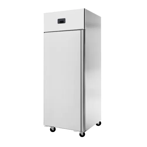 Dulap frigorific vertical pentru depozitare cu 1 usa – 670 litri